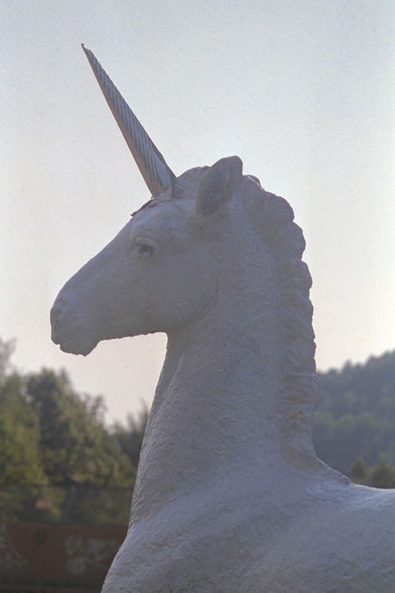 Holbein-Pferd weiß mit Horn als Einhorn, Nahaufnahme