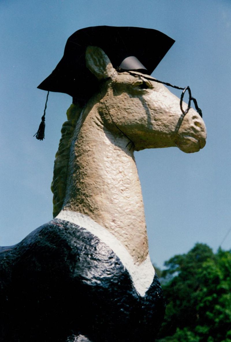 Holbein-Pferd mit Barett und Brille als Richter verkleidet